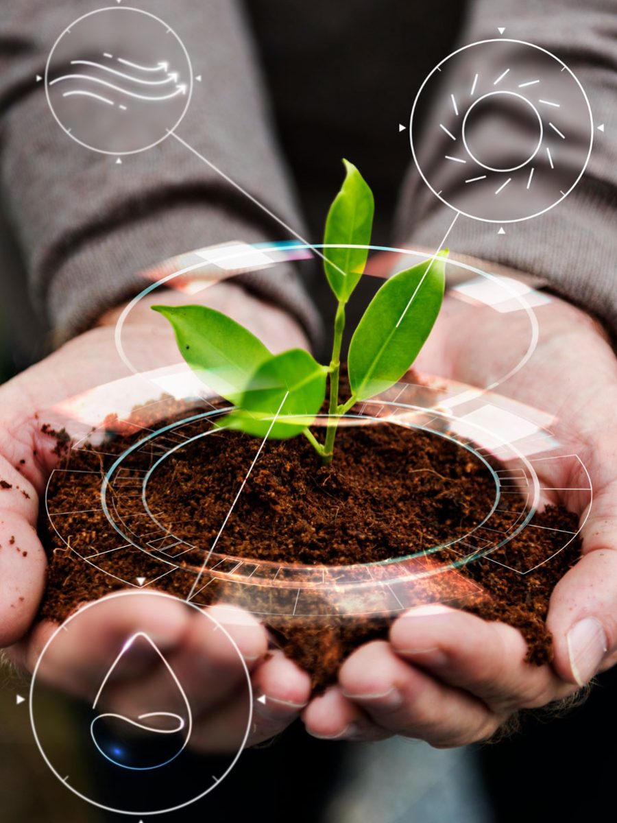 Innovación agricultura